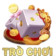 Cộng đồng người chơi lớn